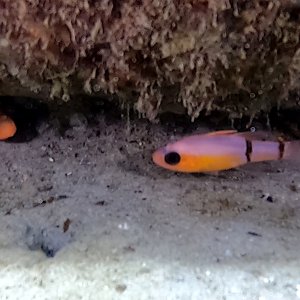 vlcsnap-2022-07-31-19h57m20s247.JPG