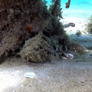 vlcsnap-2022-07-31-19h59m10s465.JPG