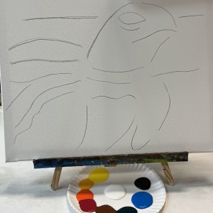A blank canvas