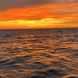 Sunset stunner