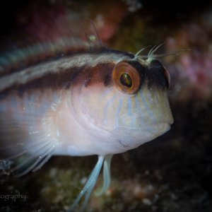 F05A5821.jpg