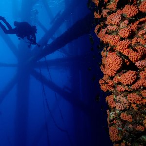 14-sushi boy-rigscape.JPG