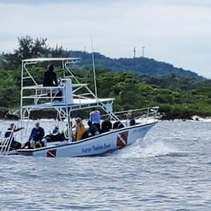 IMG-20221116-WA0001.jpg