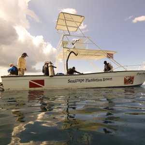 Ready for our second morning dive