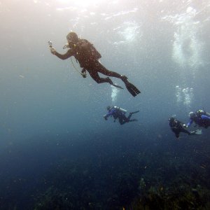 AdamBOM does his safety stop after Pillar Coral
