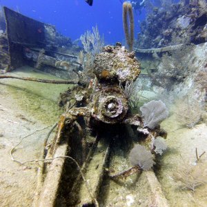 Remnants of a boat in The Wife