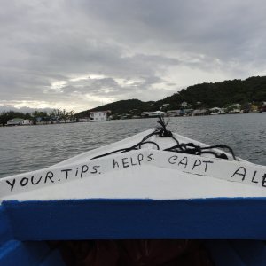 38 - Boat ride to mangroves
