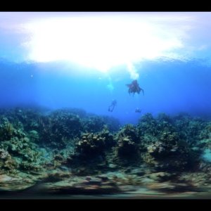 Scuba Diving "Blue Channel" in Roatán, Honduras in 360°! November 2022