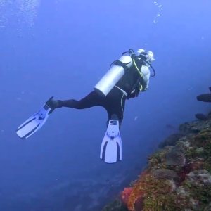 Scuba Diving "Hole in the Wall" in Roatán, Honduras - November 2022