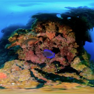 360 Degree Photo
