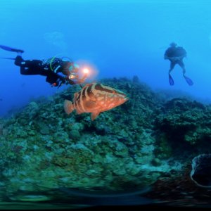 Pirates Cove in 360 degrees