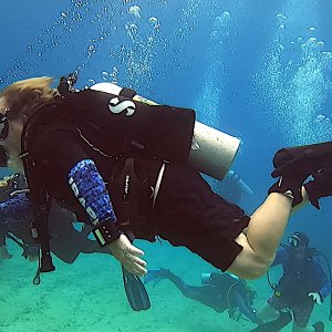 VikingDiver