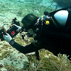watermonkee taking photos
