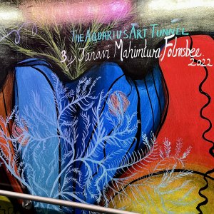 Aquarius Art Tunnel