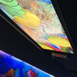 Aquarius Art Tunnel