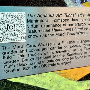 Aquarius Art Tunnel
