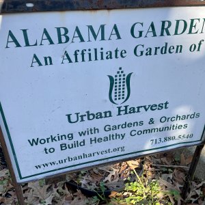 Affiliate garden of Urban Harvest