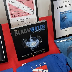 The best raffle item