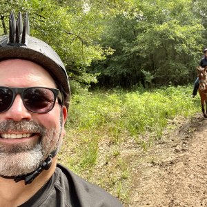 I’m being followed!