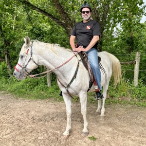 Giddy up