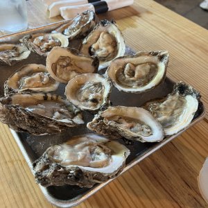 Dem's some oysters!