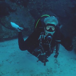 ReefHound