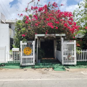 Outside of Jaanchie's