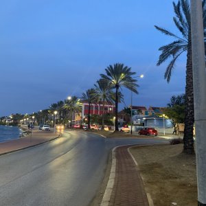 IMG_4347.JPG