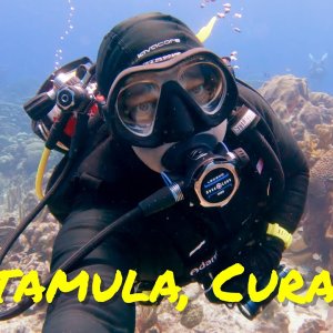 Watamula