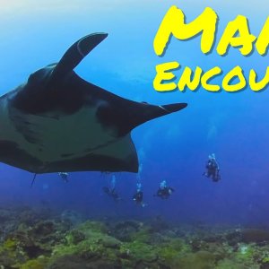Manta Encounter in the Gulf of Mexico! August 2023
