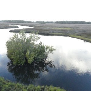 P1200701.JPG