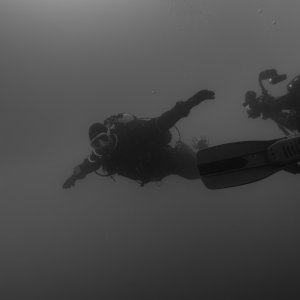 P8131007_conv.jpg