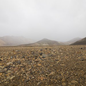 _8170719_conv.jpg