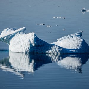 Reflections