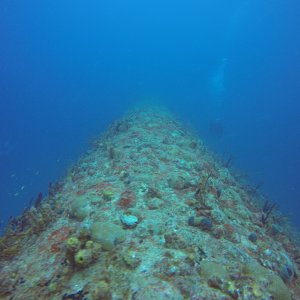 6 - inverted hull of The Miss Opportunity wreck.JPG