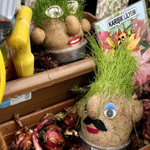 The real Mr Potatohead