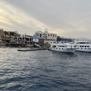 Sharm harbor