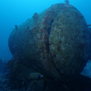 Thistlegorm