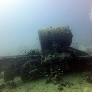 Thistlegorm