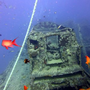 Thistlegorm