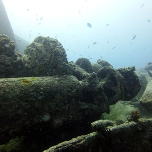 Thistlegorm