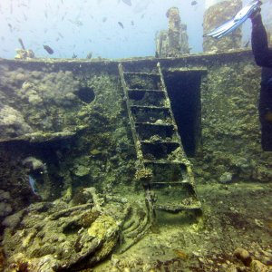 Thistlegorm