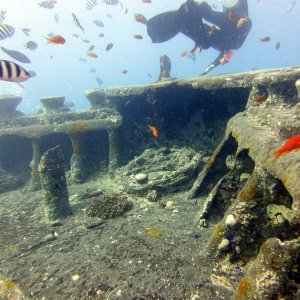 Thistlegorm