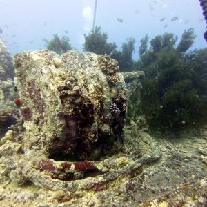 Thistlegorm