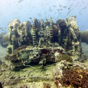 Thistlegorm