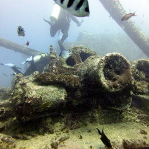 Thistlegorm