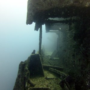 Thistlegorm