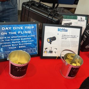 5 - Trips and gear