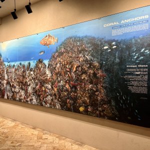 Cool mural at the resort