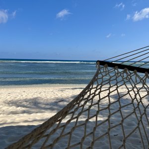 Begin vacation mode
